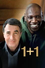 1+1 бесплатно